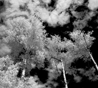 IMG_34050