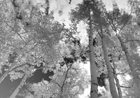 IMG_34051