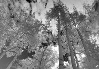 DSCN1784
