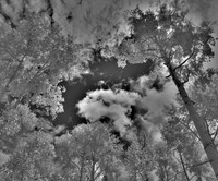 DSCN1786