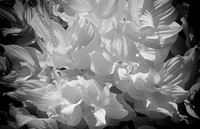 DSCN1819