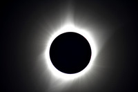 810_7806_2