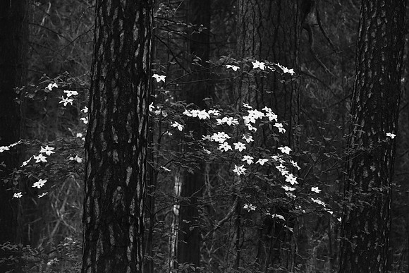 810_7473_B&W