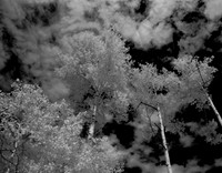 DSCN1780