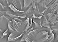 DSCN1672
