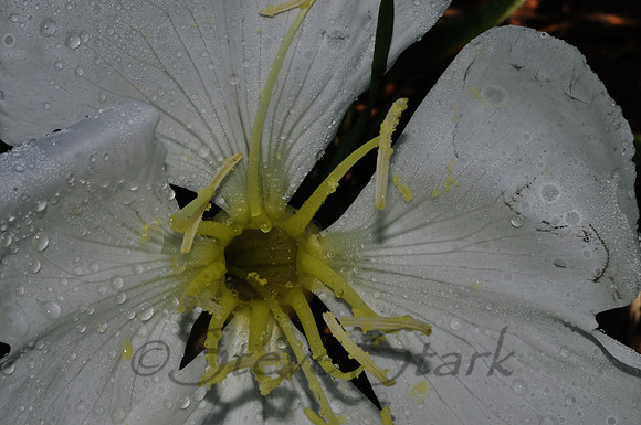 300_3431
