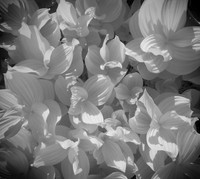 DSCN1821